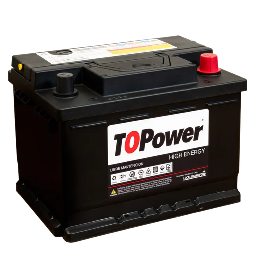 TOPOWER TP60D PLUS