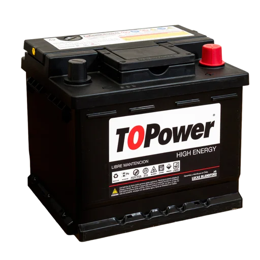 TOPOWER TP50D