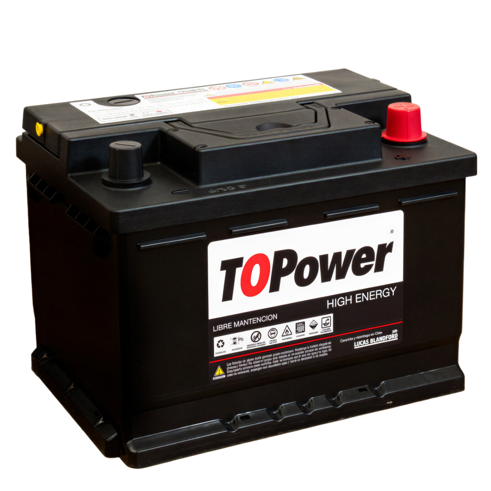 TOPOWER TP60D PLUS