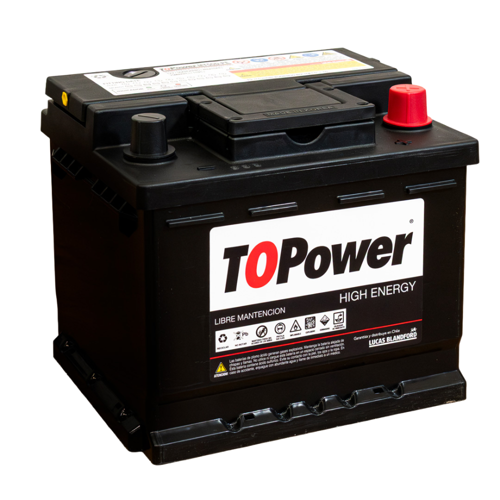 TOPOWER TP50D