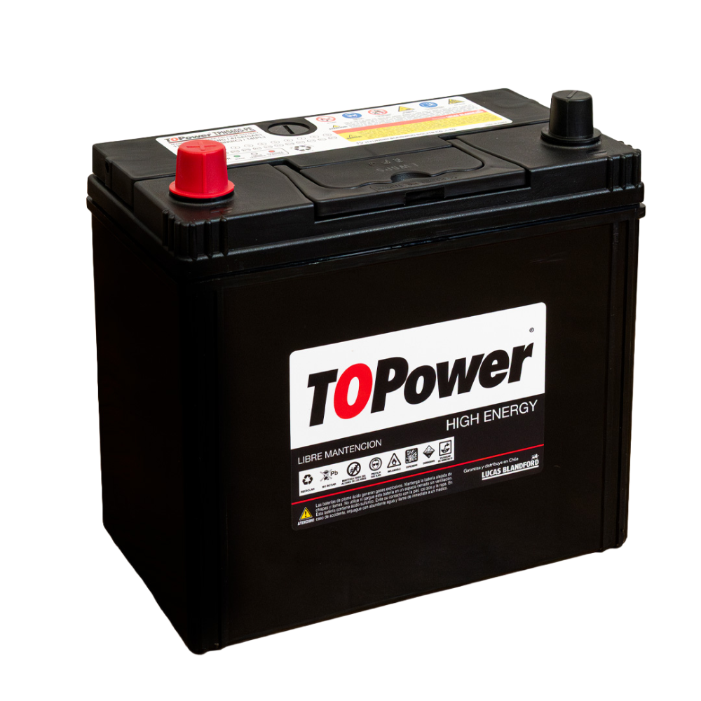 TOPOWER TPNS60S