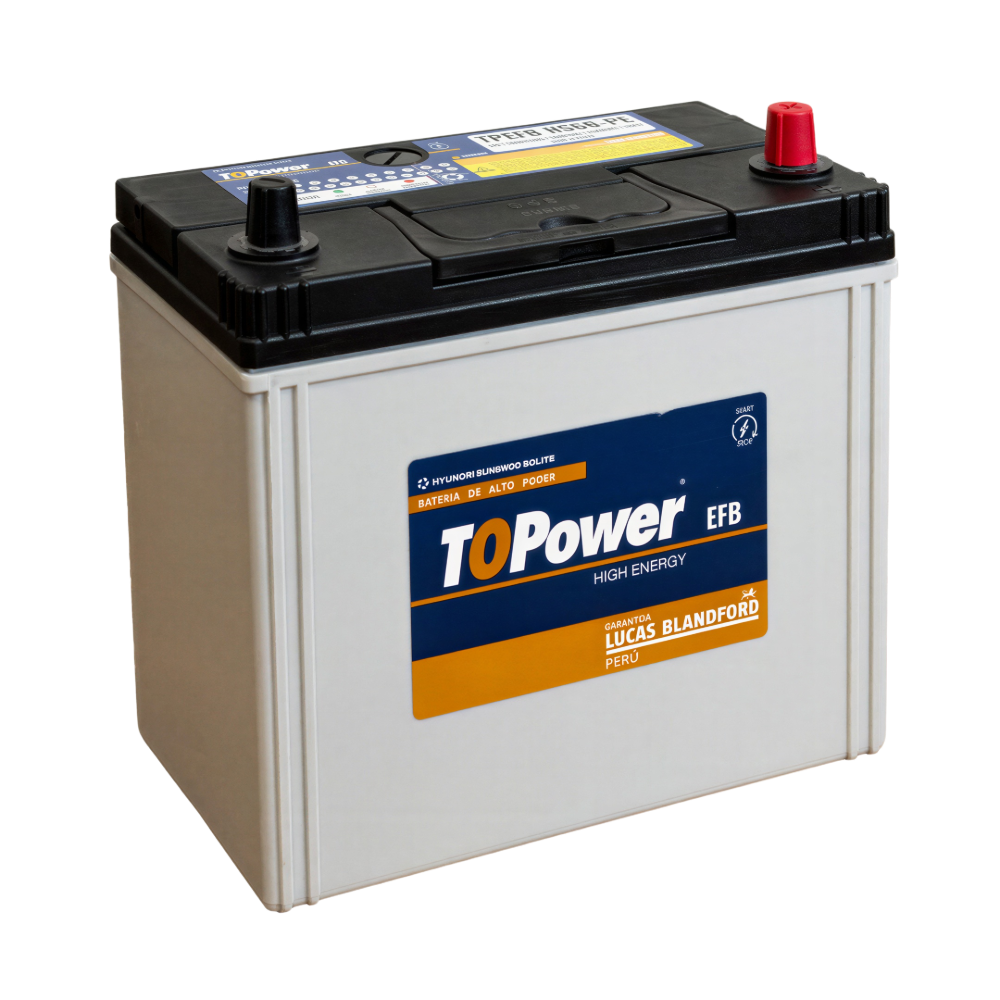TOPOWER TPEFB-NS60